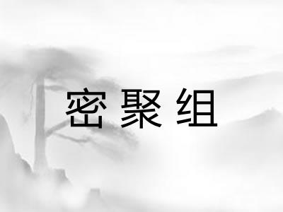 密聚组 密聚组