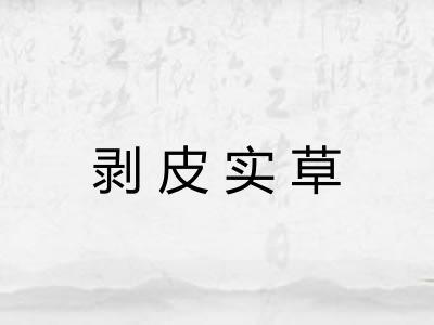 剥皮实草 剥皮实草