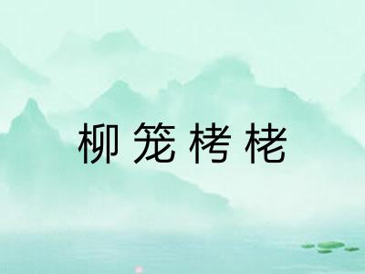 柳笼栲栳 柳笼栲栳