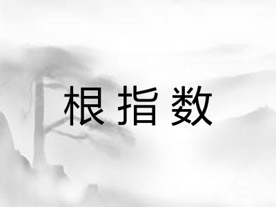 根指数 根指数