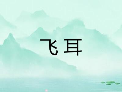 飞耳