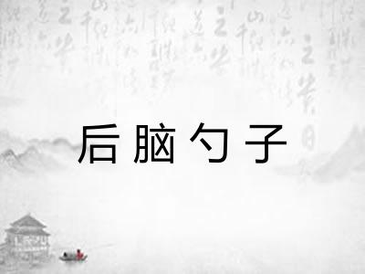 后脑勺子 后脑勺子