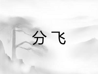 分飞