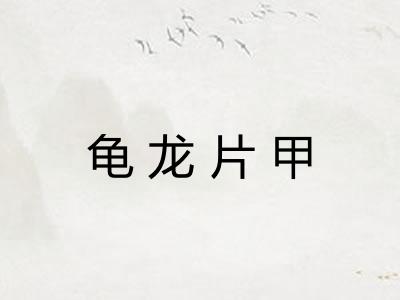 龟龙片甲 龟龙片甲