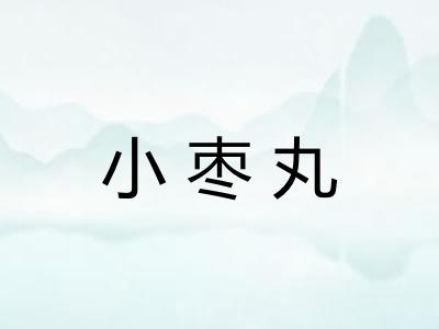 小枣丸 小枣丸