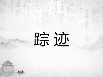 踪迹 踪迹