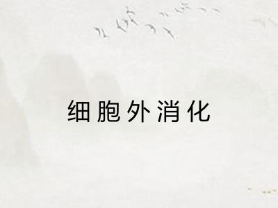 细胞外消化 细胞外消化