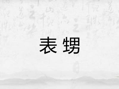 表甥