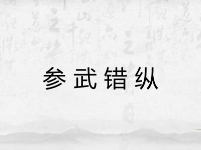 参武错纵 参武错纵
