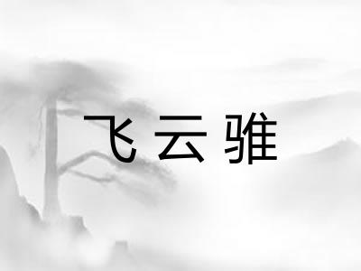 飞云骓 飞云骓