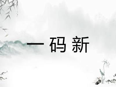 一码新