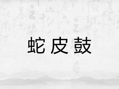 蛇皮鼓 蛇皮鼓