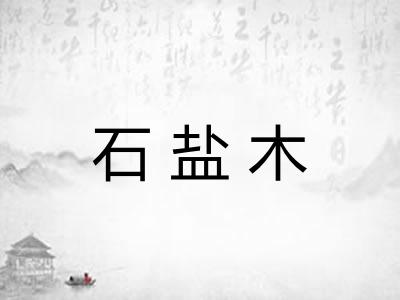 石盐木 石盐木