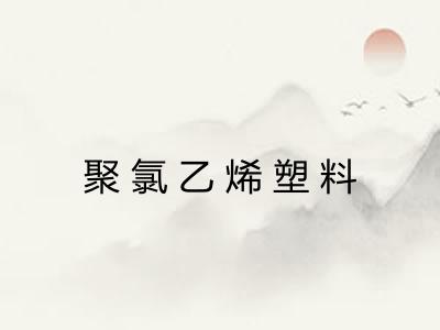 聚氯乙烯塑料 聚氯乙烯塑料