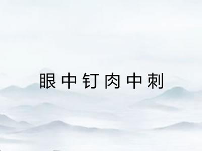 眼中钉肉中刺 眼中钉肉中刺