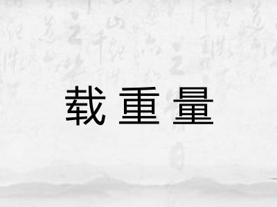 载重量 载重量