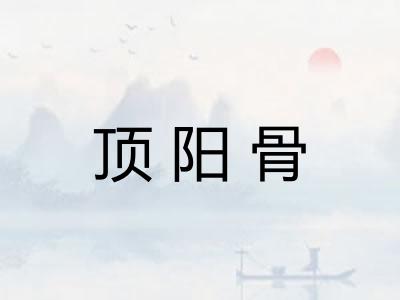 顶阳骨 顶阳骨