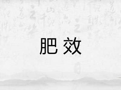 肥效 肥效