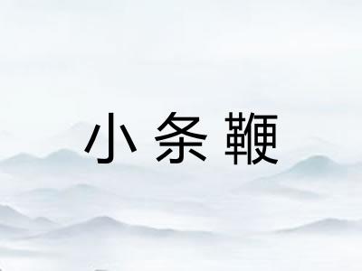小条鞭 小条鞭