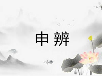 申辨