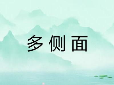 多侧面