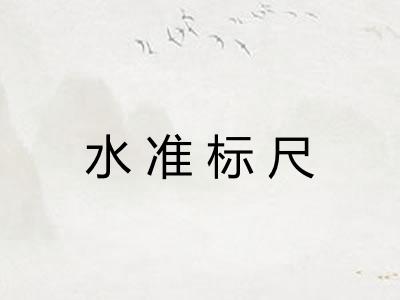 水准标尺 水准标尺