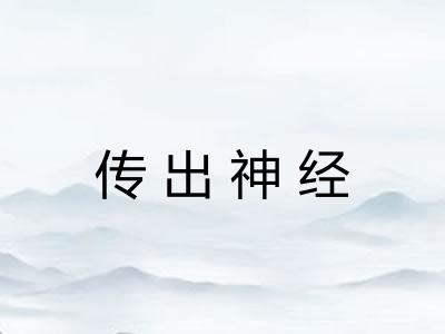 传出神经 传出神经