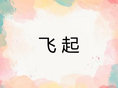 飞起
