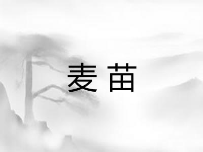 麦苗 麦苗