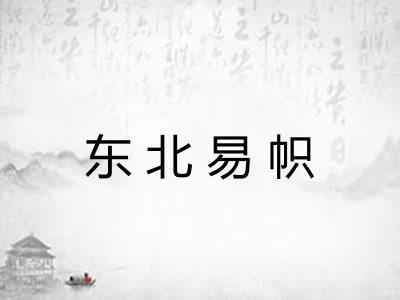 东北易帜 东北易帜