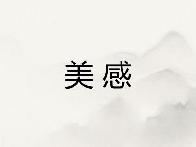 美感