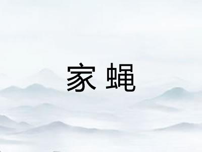 家蝇
