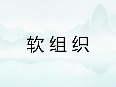 软组织 软组织