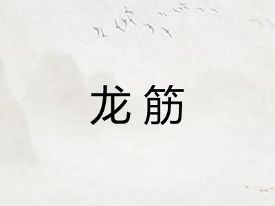 龙筋 龙筋
