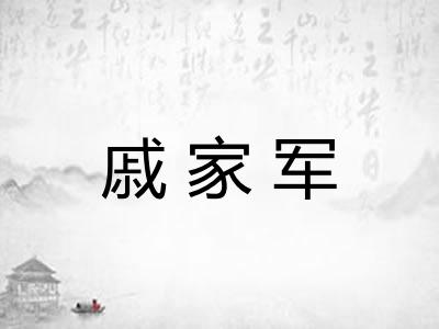 戚家军 戚家军