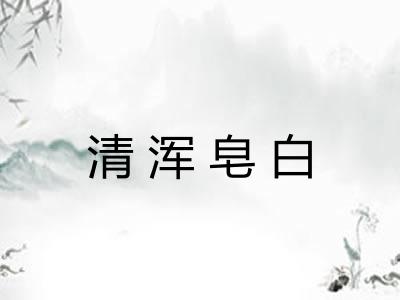 清浑皂白 清浑皂白