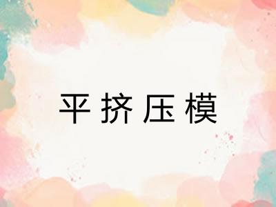 平挤压模 平挤压模