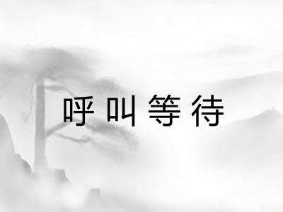 呼叫等待 呼叫等待