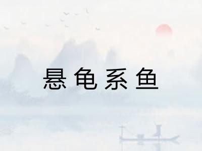 悬龟系鱼 悬龟系鱼