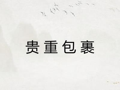 贵重包裹 贵重包裹