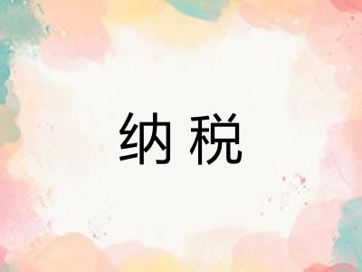 纳税 纳税