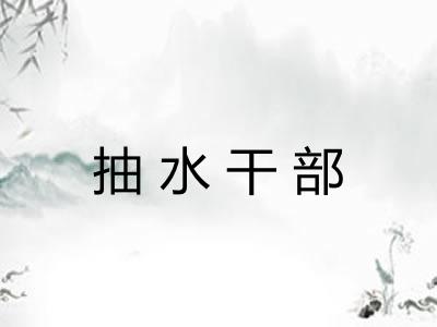 抽水干部 抽水干部