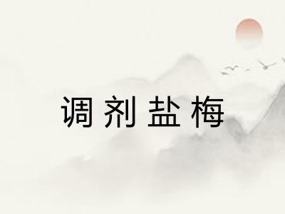 调剂盐梅
