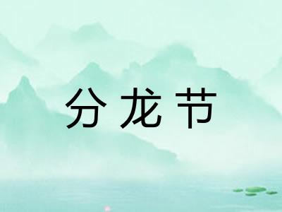 分龙节