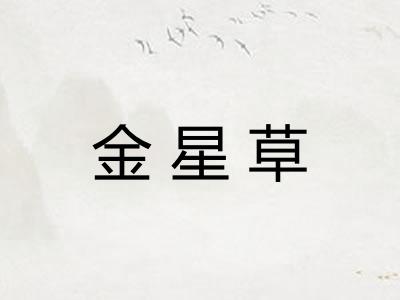 金星草 金星草