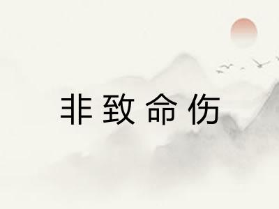 非致命伤 非致命伤