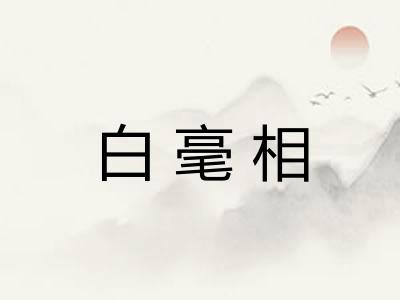 白毫相 白毫相