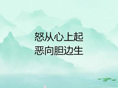 怒从心上起恶向胆边生