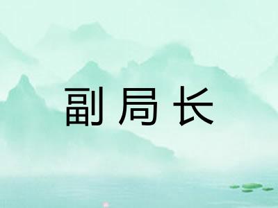 副局长 副局长