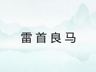 雷首良马 雷首良马